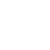 Home icon